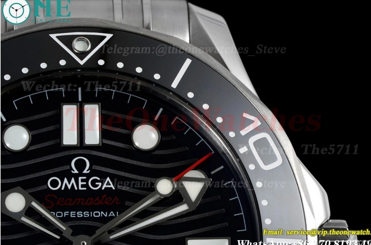 8800 Asia 300m SS 2018 Seamaster ORF Black SS 0113